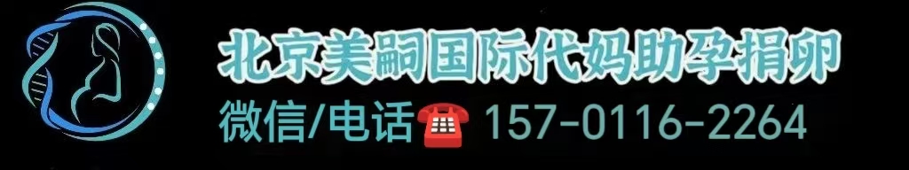 两个同性恋爸爸助孕生子